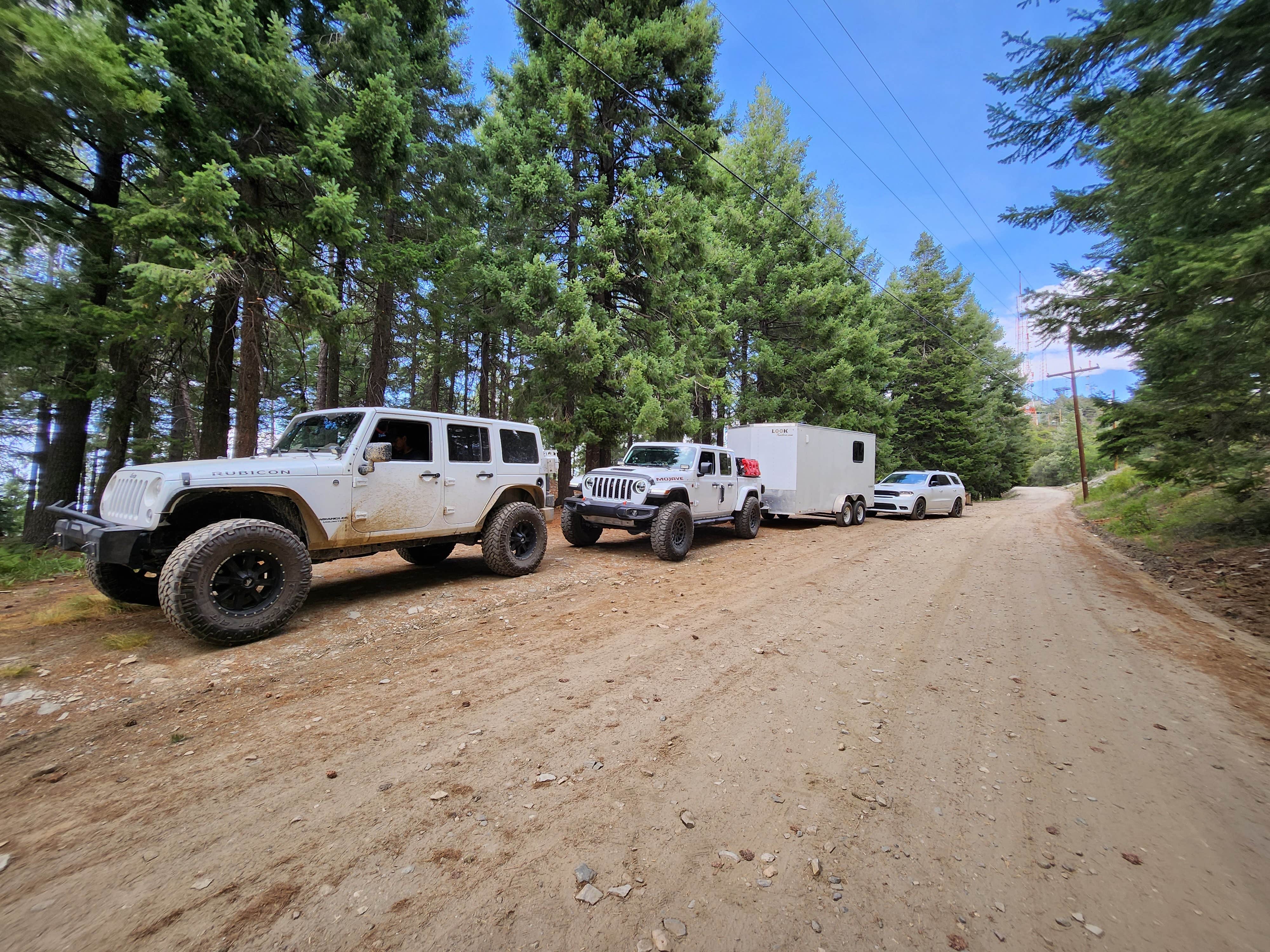 Camper submitted image from Mount Bigelow Dispersed - 4