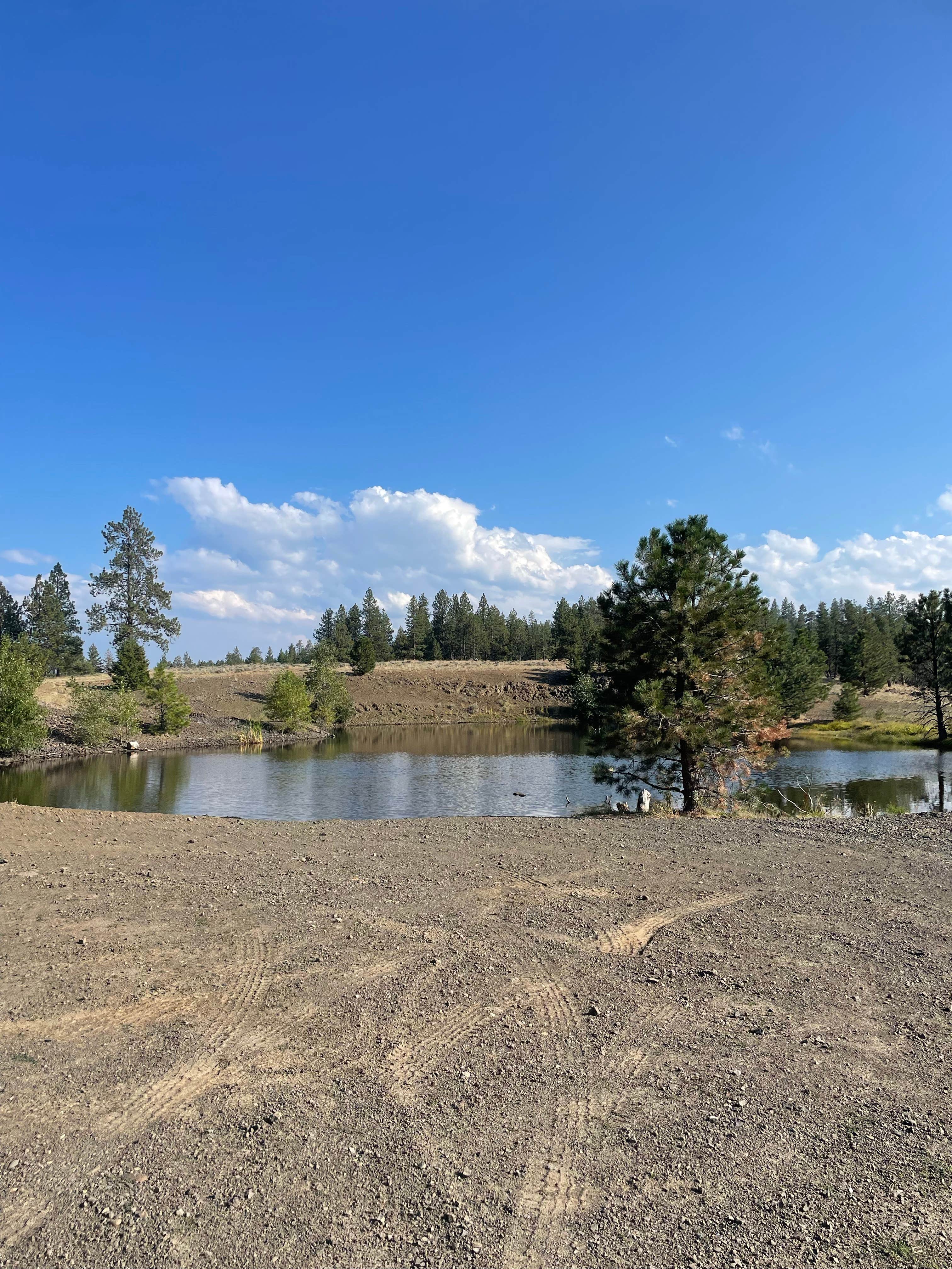 Quincy B.'s photo of a dispersed camping area at Wallowa-Whitman NF 21 - Dispersed near Enterprise, OR