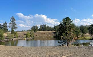 Quincy B.'s photo of a dispersed camping area at Wallowa-Whitman NF 21 - Dispersed near Walla Walla, WA
