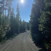 Review photo of Wallowa-Whitman NF 21 - Dispersed by Quincy B., August 26, 2023