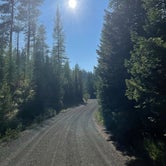 Review photo of Wallowa-Whitman NF 21 - Dispersed by Quincy B., August 26, 2023