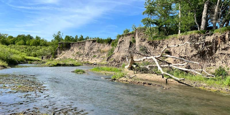 Camper submitted image from Little Rivers Edge