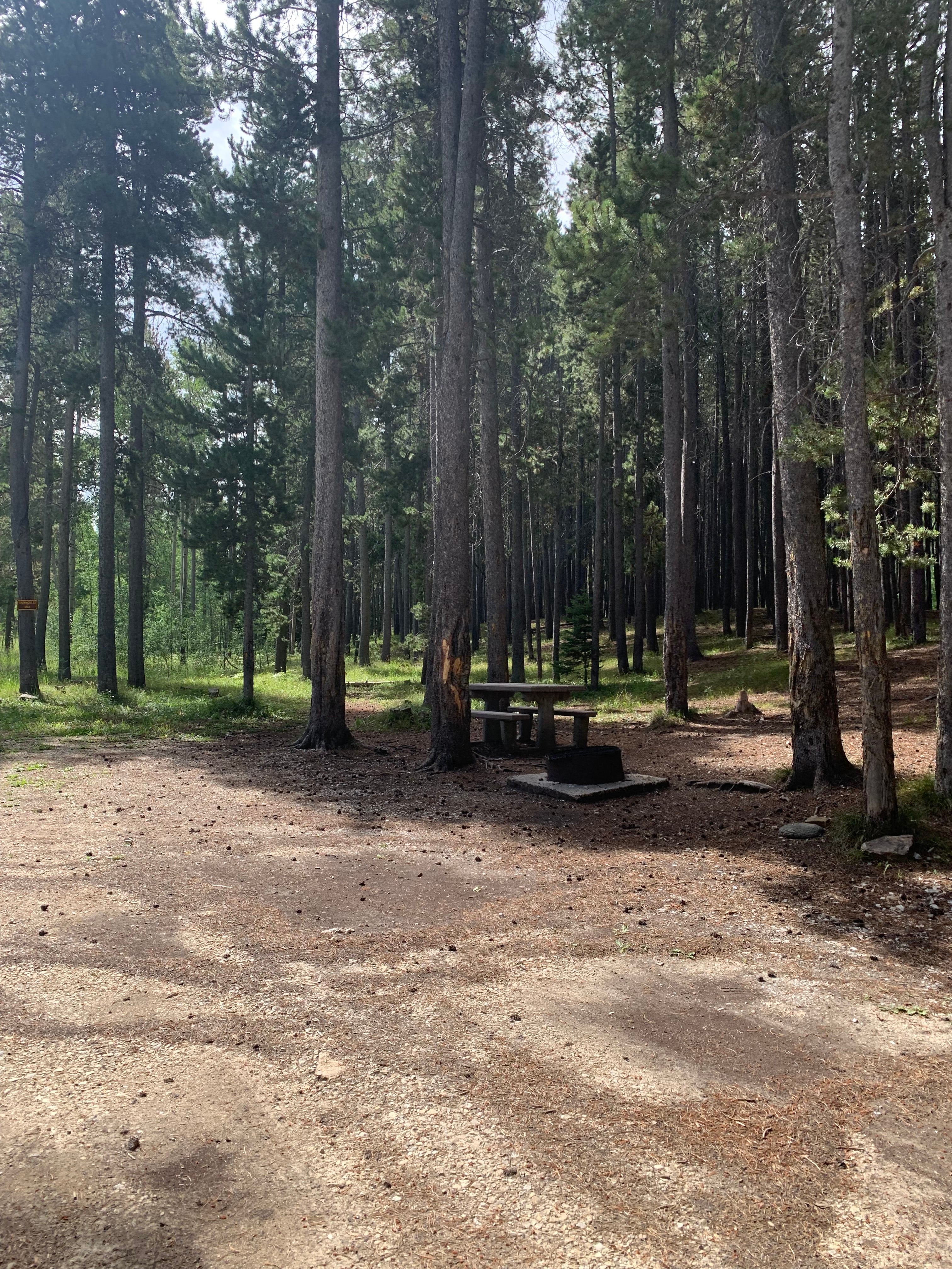 Camper submitted image from Elkhorn Springs Campground - 4