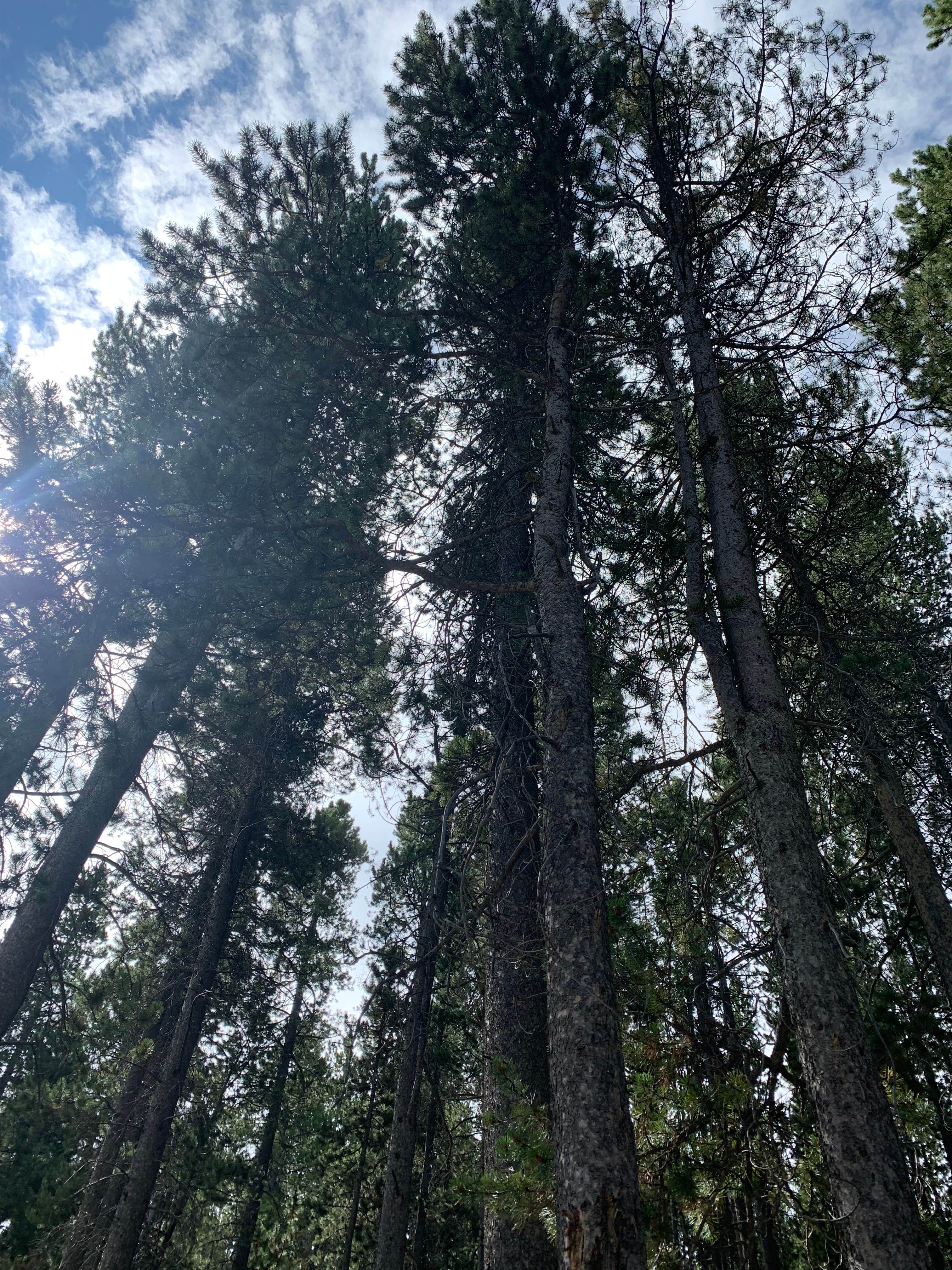 Camper-submitted photo at Elkhorn Springs Campground near Evansville, WY