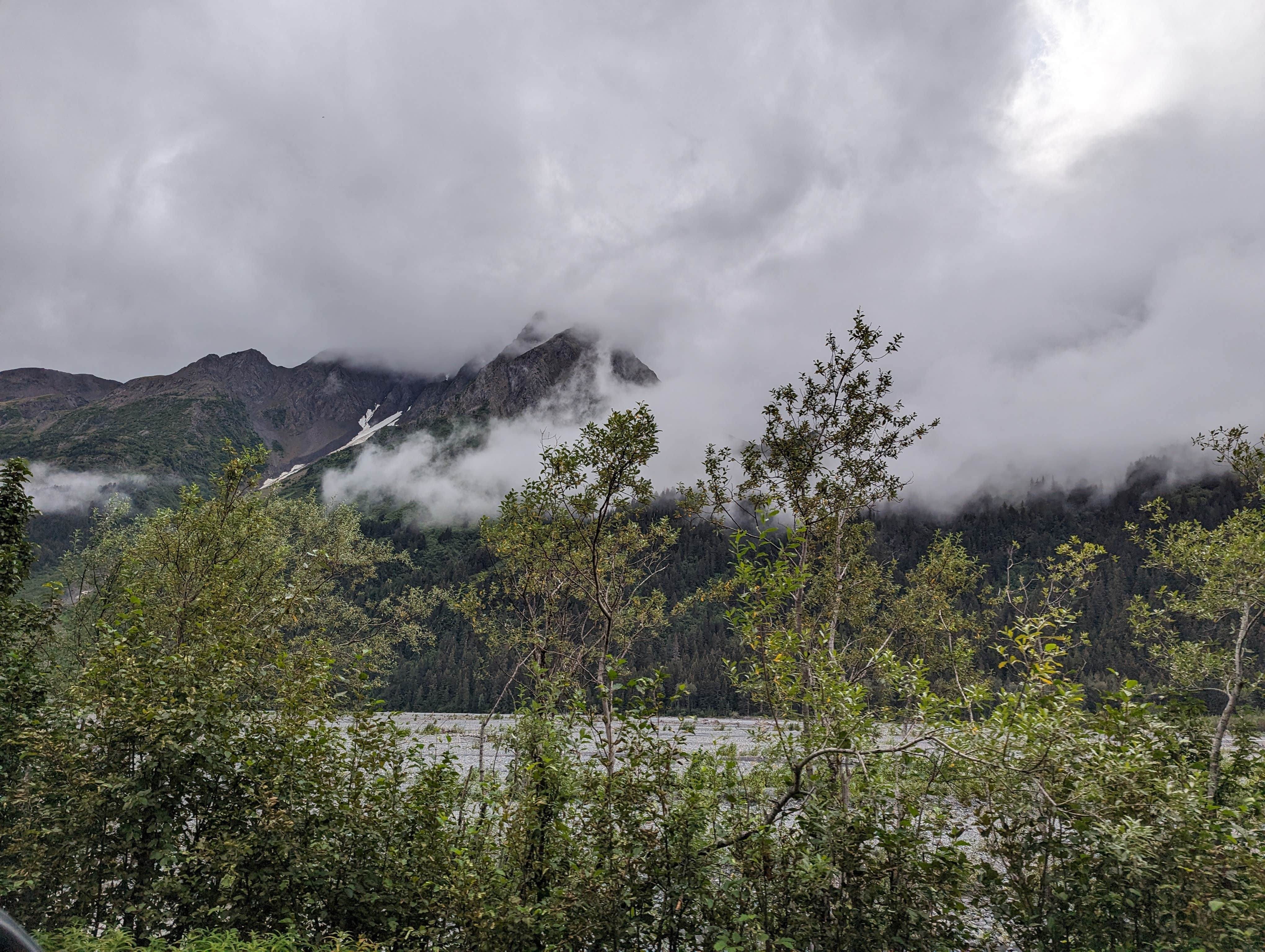 Camper submitted image from Exit Glacier Road Designated Special Use Area - 2