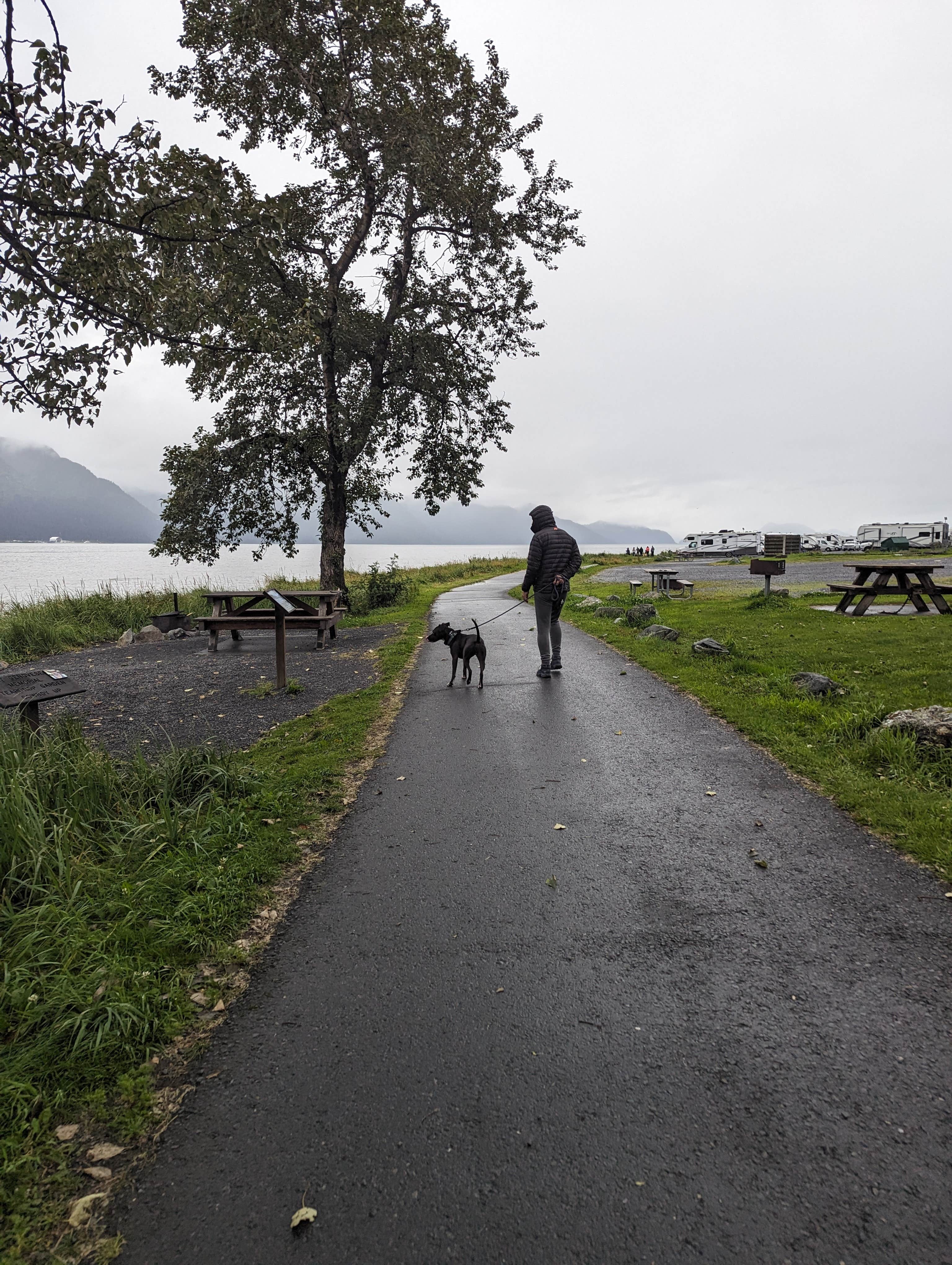 Kristi D.'s photo of camping with pets at Seward City Campgrounds in Alaska