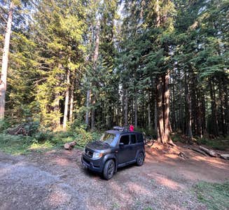 Camper-submitted photo from Cougar Rock Campground — Mount Rainier National Park