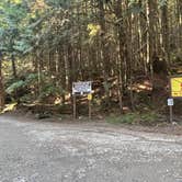 Review photo of South Fork Snoqualmie River Dispersed Site by Jose B., August 26, 2023