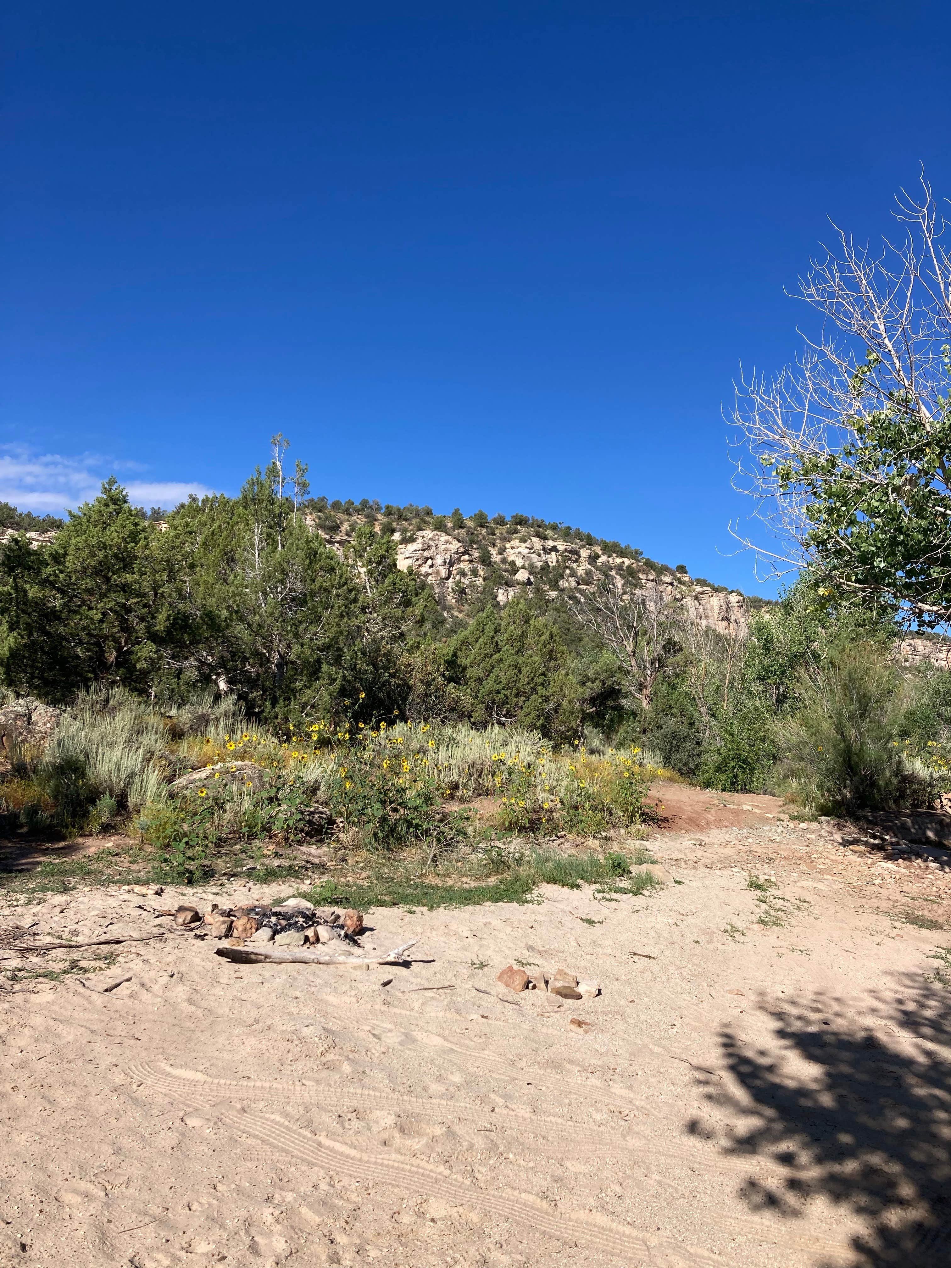 Camper-submitted photo at Recapture Reservoir near Blanding, UT