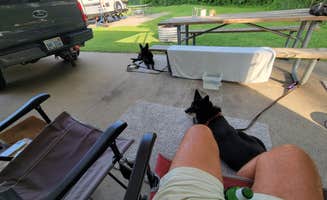 emily P.'s photo of camping with pets at Markin Glen County Park near Portage, MI