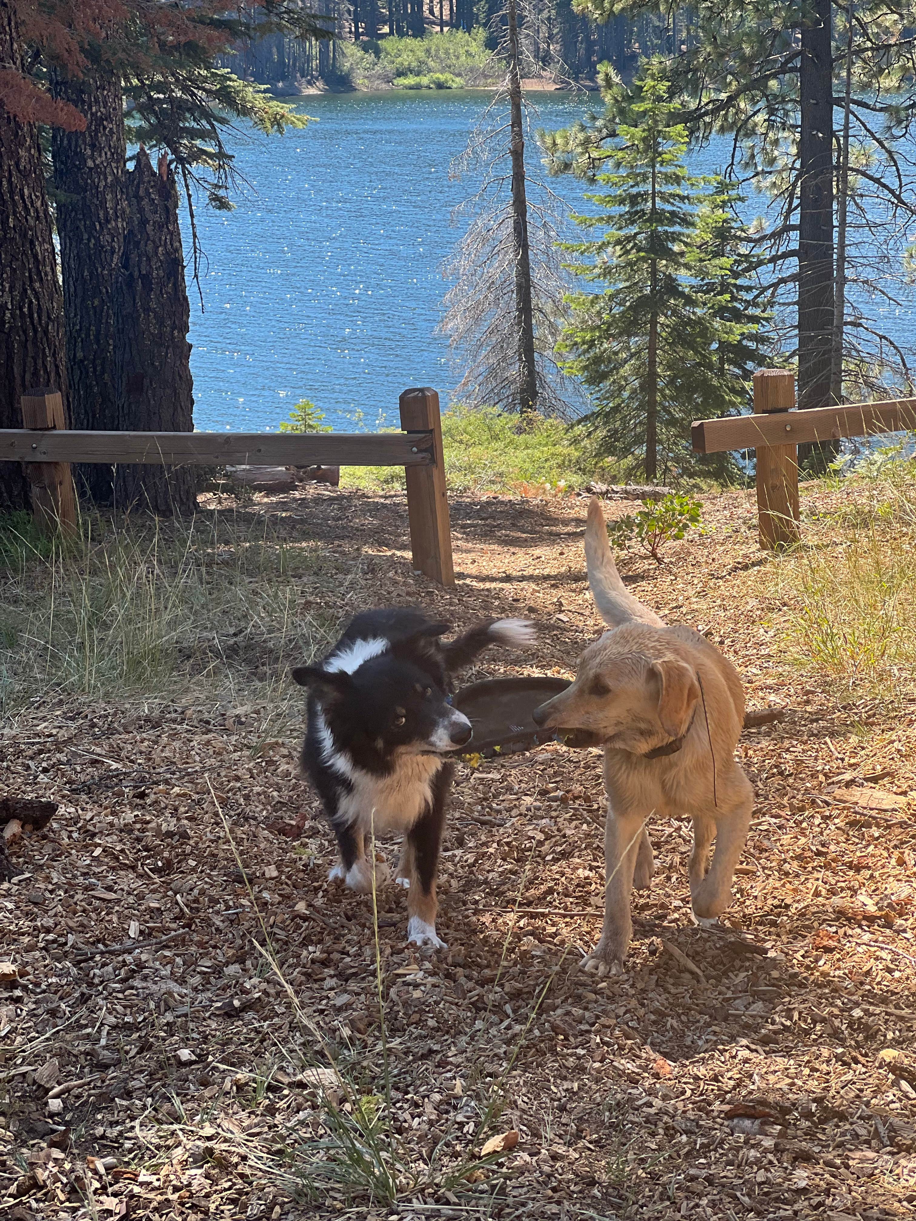 Camper-submitted photo at Lower Bucks Campground near Meadow Valley, CA