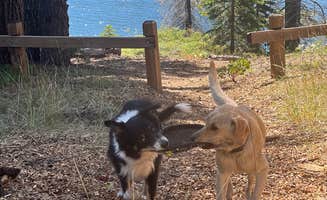 Anna S.'s photo of camping with pets at Lower Bucks Campground near Belden, CA