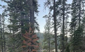 Camping near Grizzly Creek Campground: Lower Bucks Campground, Belden, California