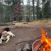 Review photo of Lower Bucks Campground by Anna S., August 26, 2023