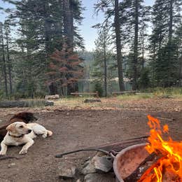 Lower Bucks Campground