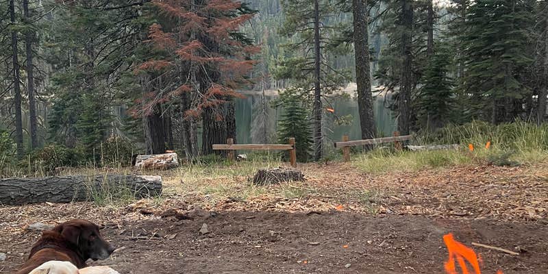 Camper submitted image from Lower Bucks Campground