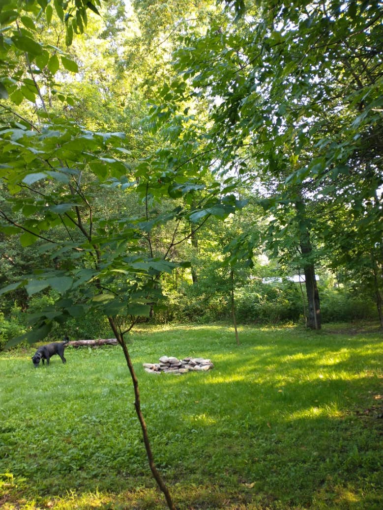 Hanging Bog Big Bass Serenity Camp