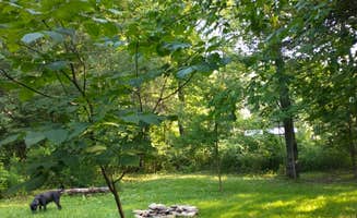 Diane B.'s photo of camping with pets at Hanging Bog Big Bass Serenity Camp near Springville, NY