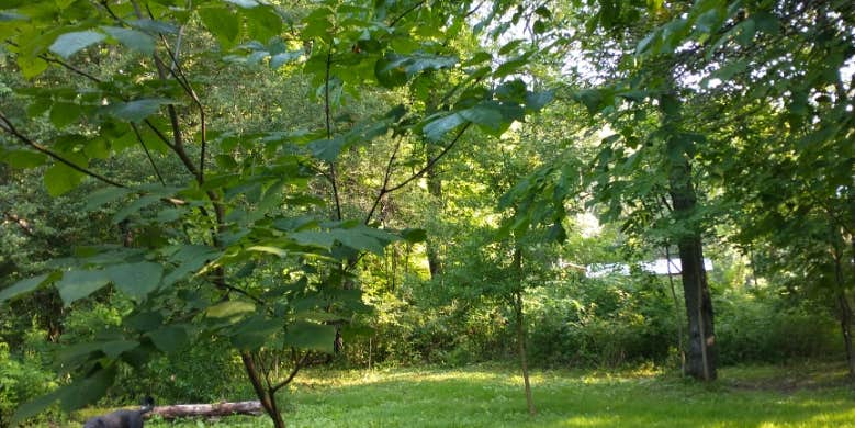 Camper submitted image from Hanging Bog Big Bass Serenity Camp