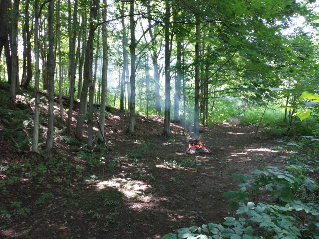 Diane B.'s photo at Hanging Bog Big Bass Serenity Camp near Wellsville, NY
