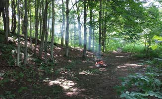 Diane B.'s photo at Hanging Bog Big Bass Serenity Camp near Machias, NY