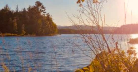 Bigelow Col Campsite — Bigelow Ecological Reserve