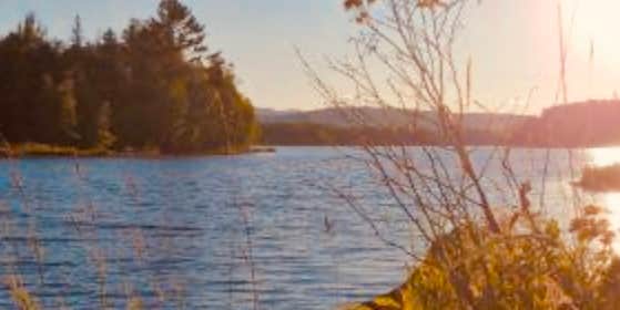 Camper submitted image from Bigelow Col Campsite — Bigelow Ecological Reserve