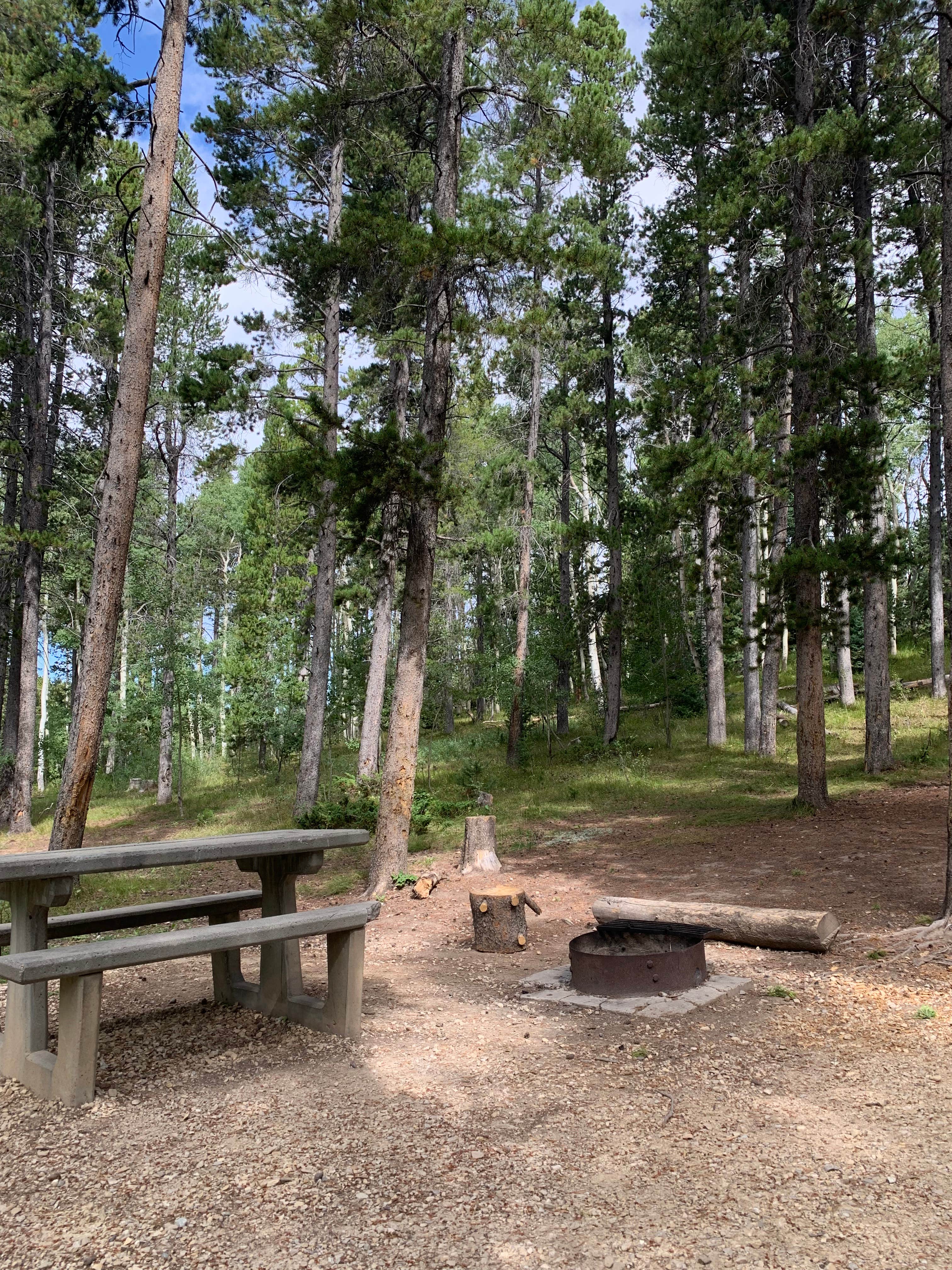 Camper-submitted photo at DeerHaven Campground near Mills, WY