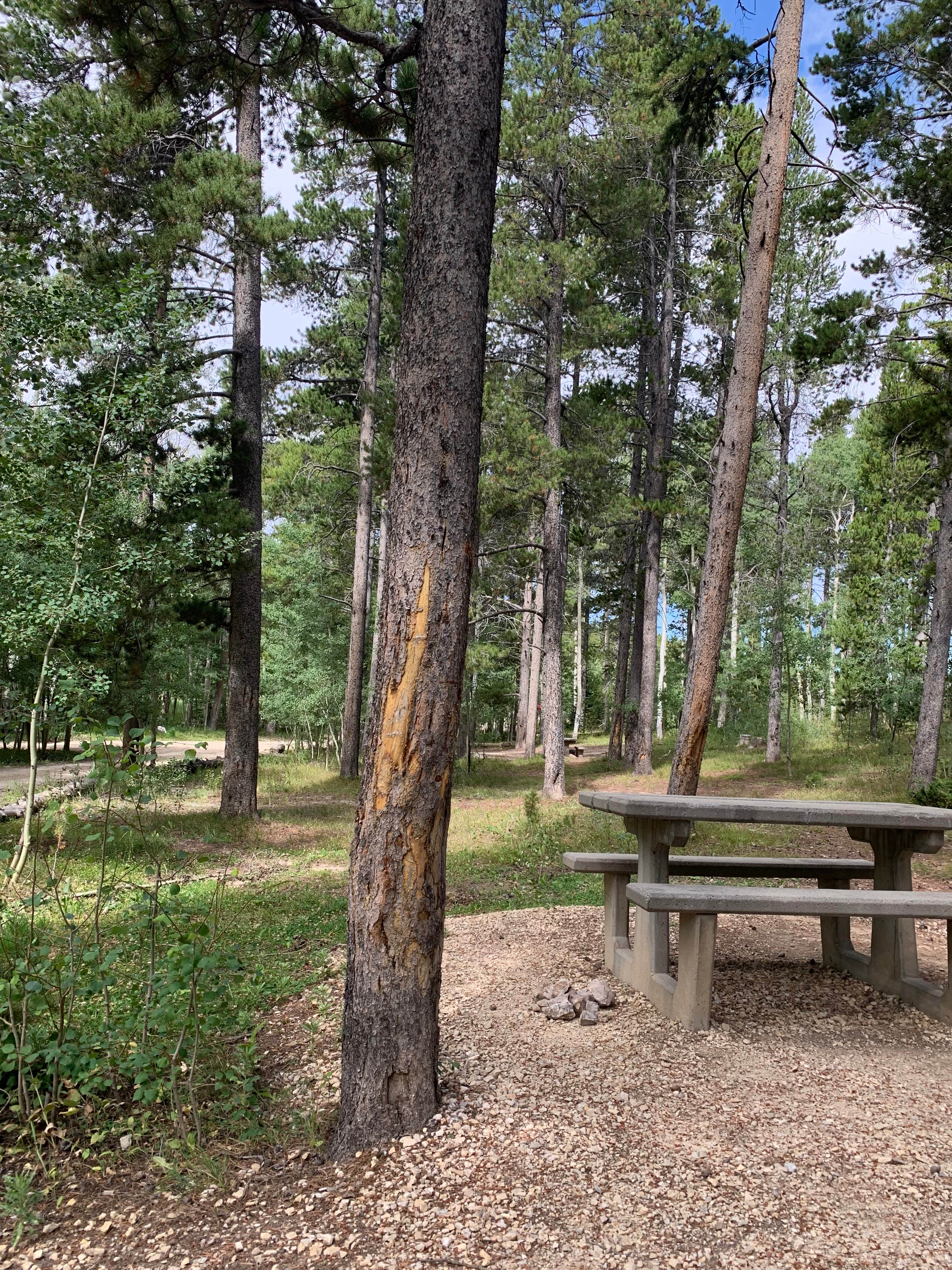 Camper-submitted photo at DeerHaven Campground near Mills, WY