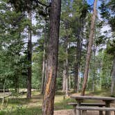 Review photo of DeerHaven Campground by GoWhereYouAreDraw N., August 26, 2023