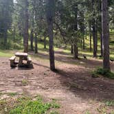 Review photo of DeerHaven Campground by GoWhereYouAreDraw N., August 26, 2023