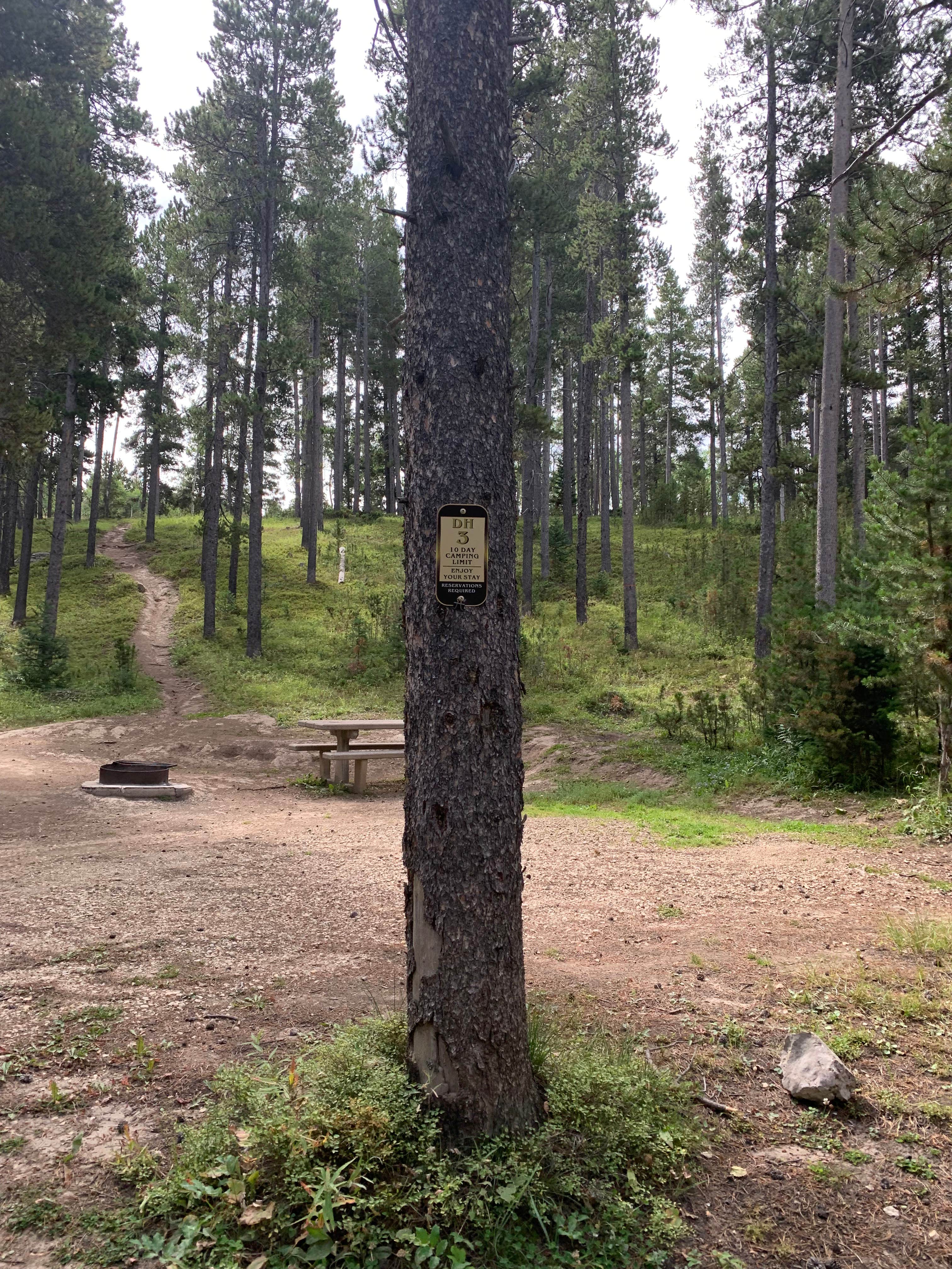 Camper-submitted photo at DeerHaven Campground near Mills, WY