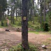 Review photo of DeerHaven Campground by GoWhereYouAreDraw N., August 26, 2023