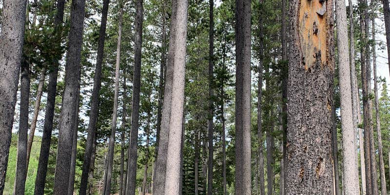 Camper submitted image from DeerHaven Campground