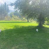 Review photo of Crater Lake Resort by Raymond P., August 24, 2023