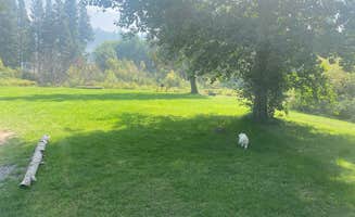 Raymond P.'s photo of camping with pets at Crater Lake Resort near Fremont-Winema National Forest