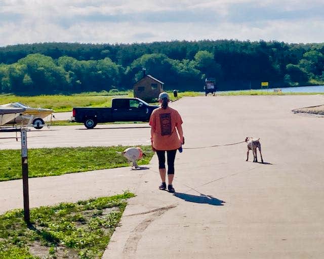 MickandKarla W.'s photo of camping with pets at Sugar Bottom Campground in Iowa