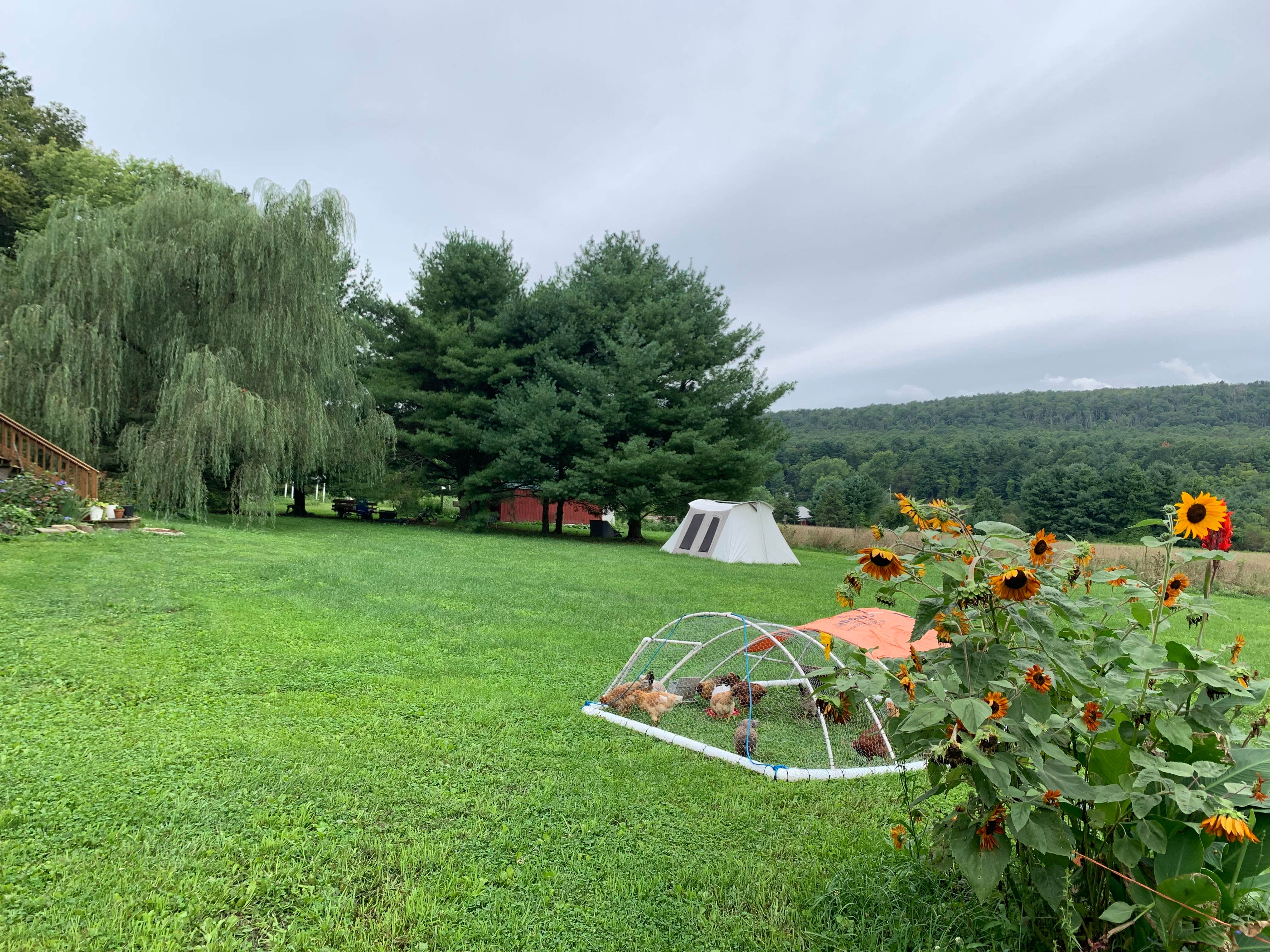 Camper submitted image from Top Cat Farm LLC - 1
