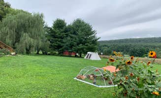 Jeff M.'s photo at Top Cat Farm LLC near Bendersville, PA