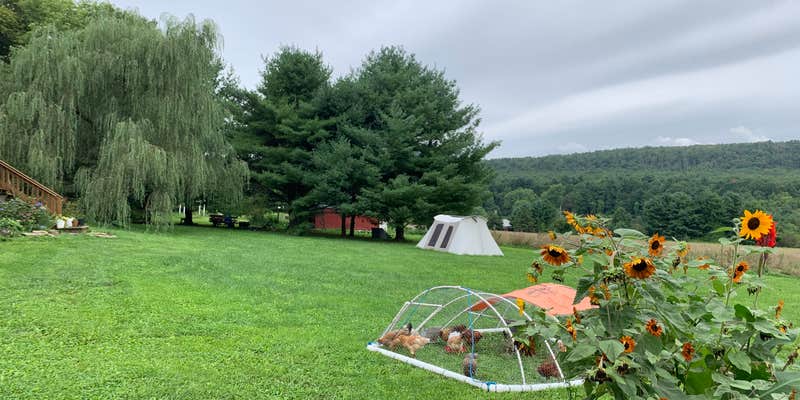 Camper submitted image from Top Cat Farm LLC