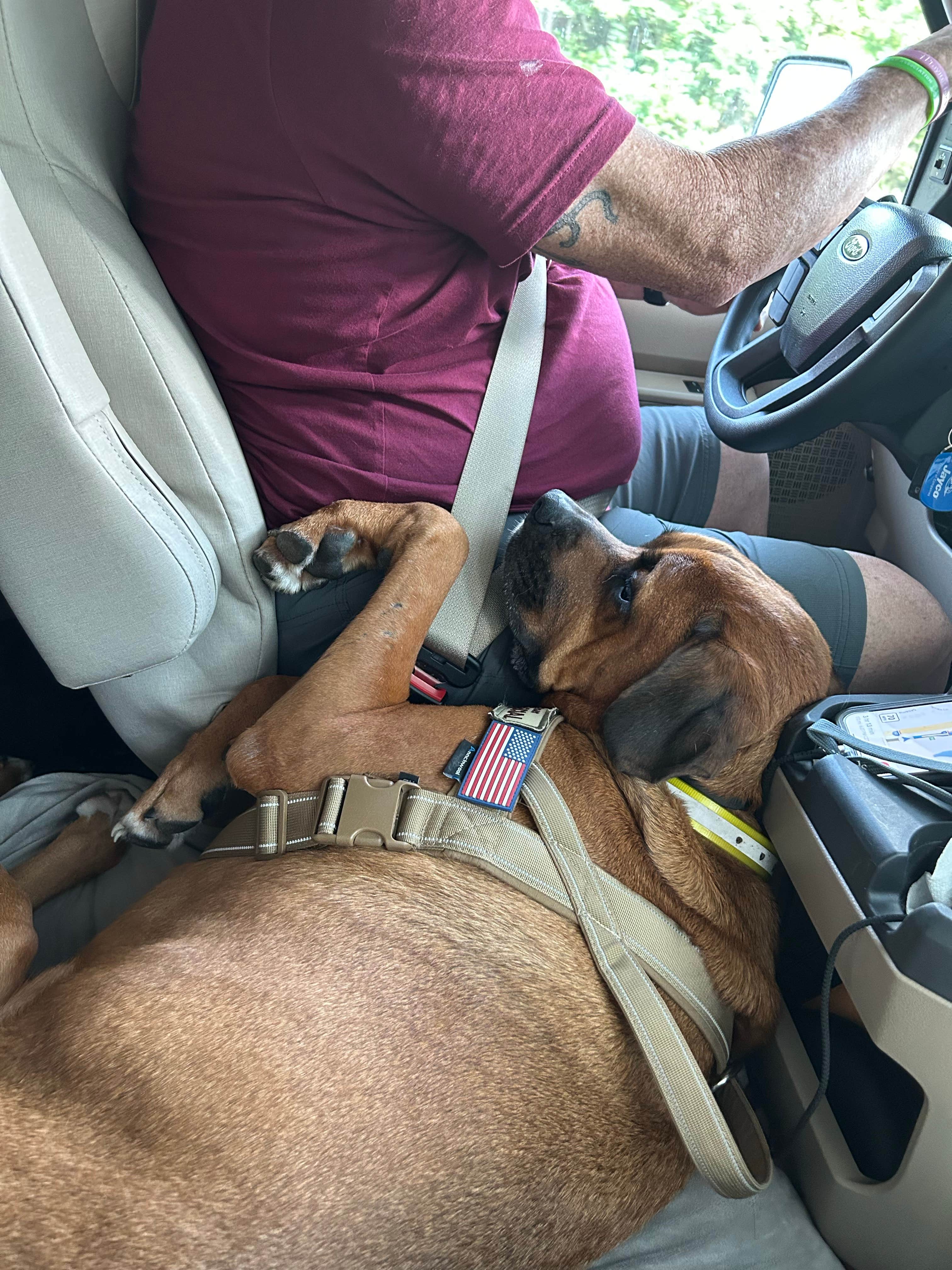 Scott's photo of camping with pets at Cumberland Mountain State Park Campground near Pikeville, TN