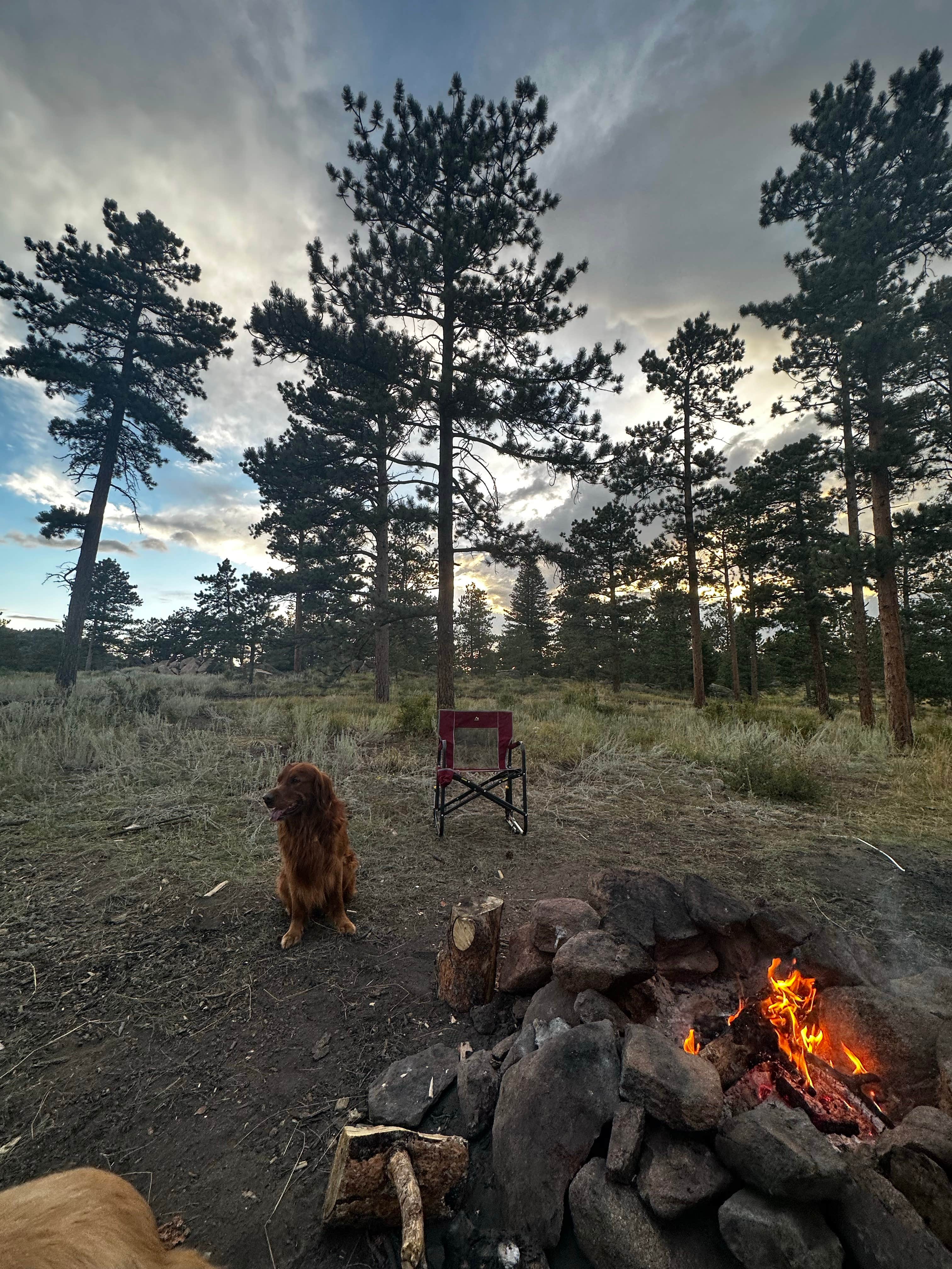 Camper-submitted photo at Lost Lake Dispersed near Ault, CO