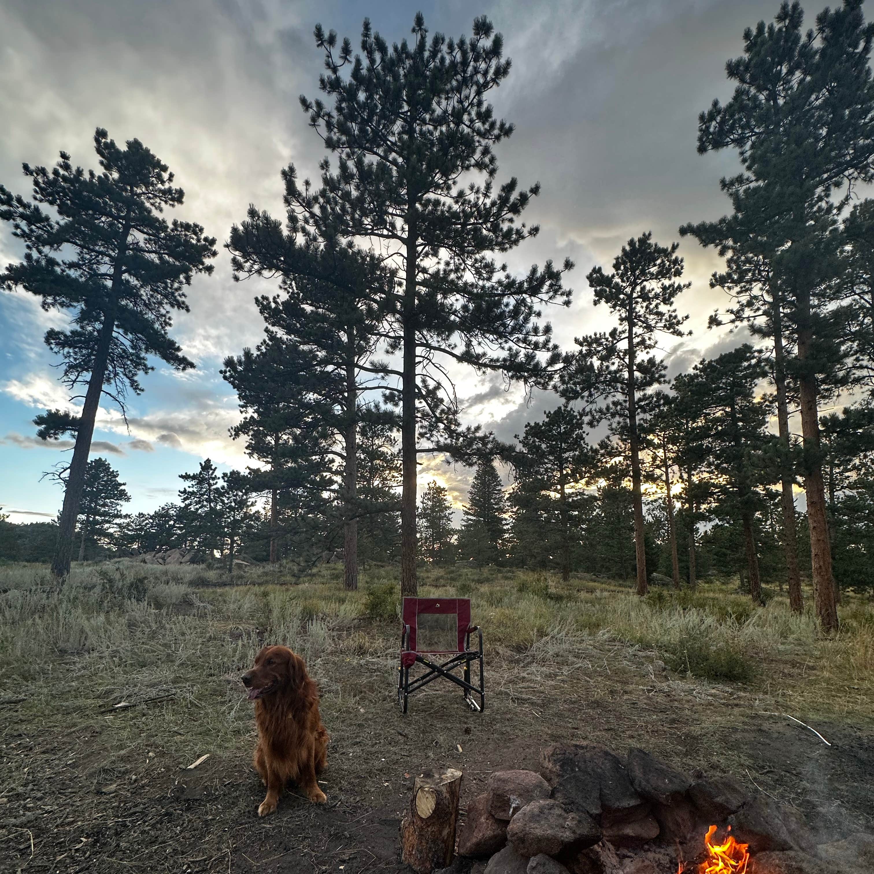 Lost Lake Dispersed Camping Red Feather Lakes, CO