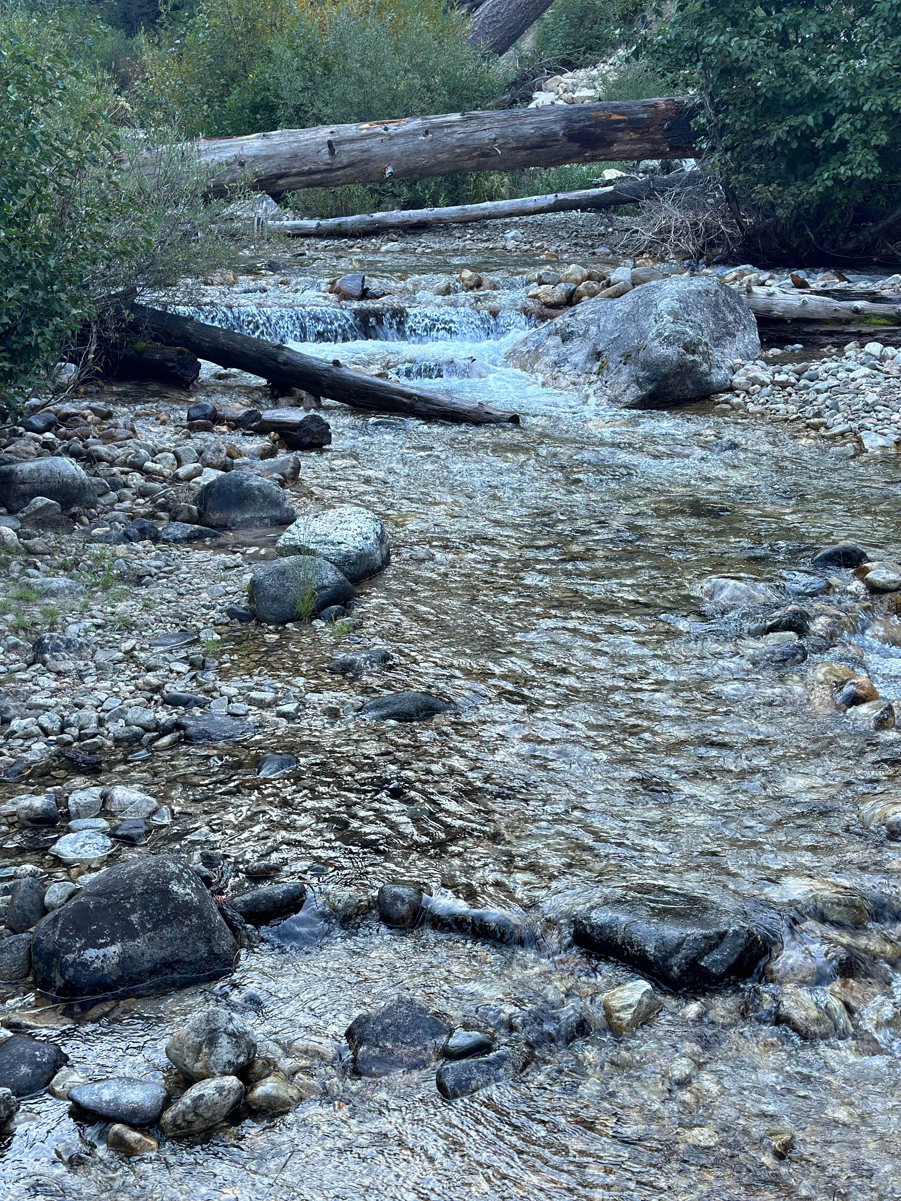 Camper submitted image from Grandjean Campground — Sawtooth National Forest - 1