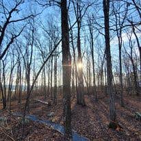 Camper-submitted photo at Basecamp Outdoors near Rockingham, NC