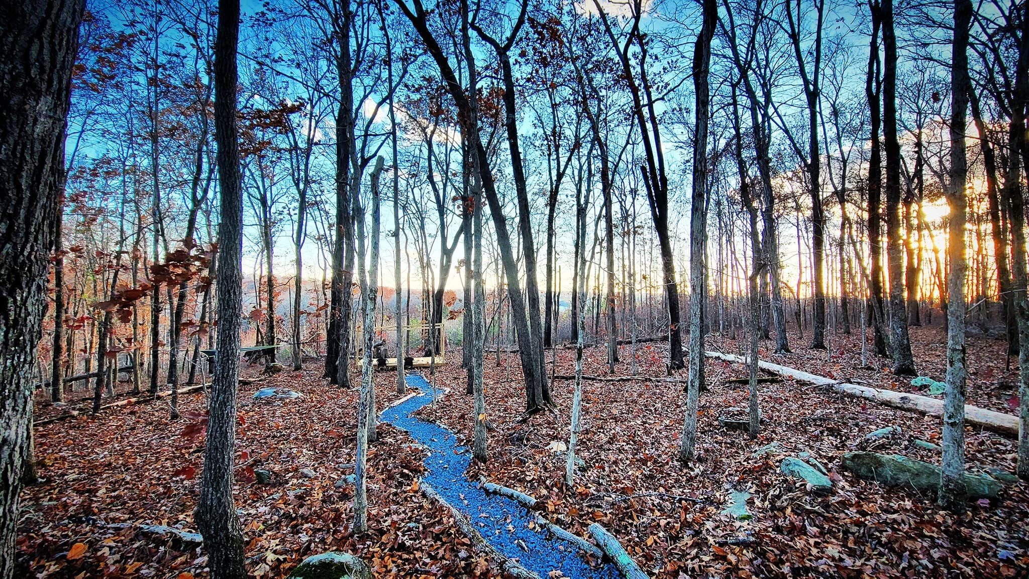 Camper-submitted photo at Basecamp Outdoors near Rockingham, NC