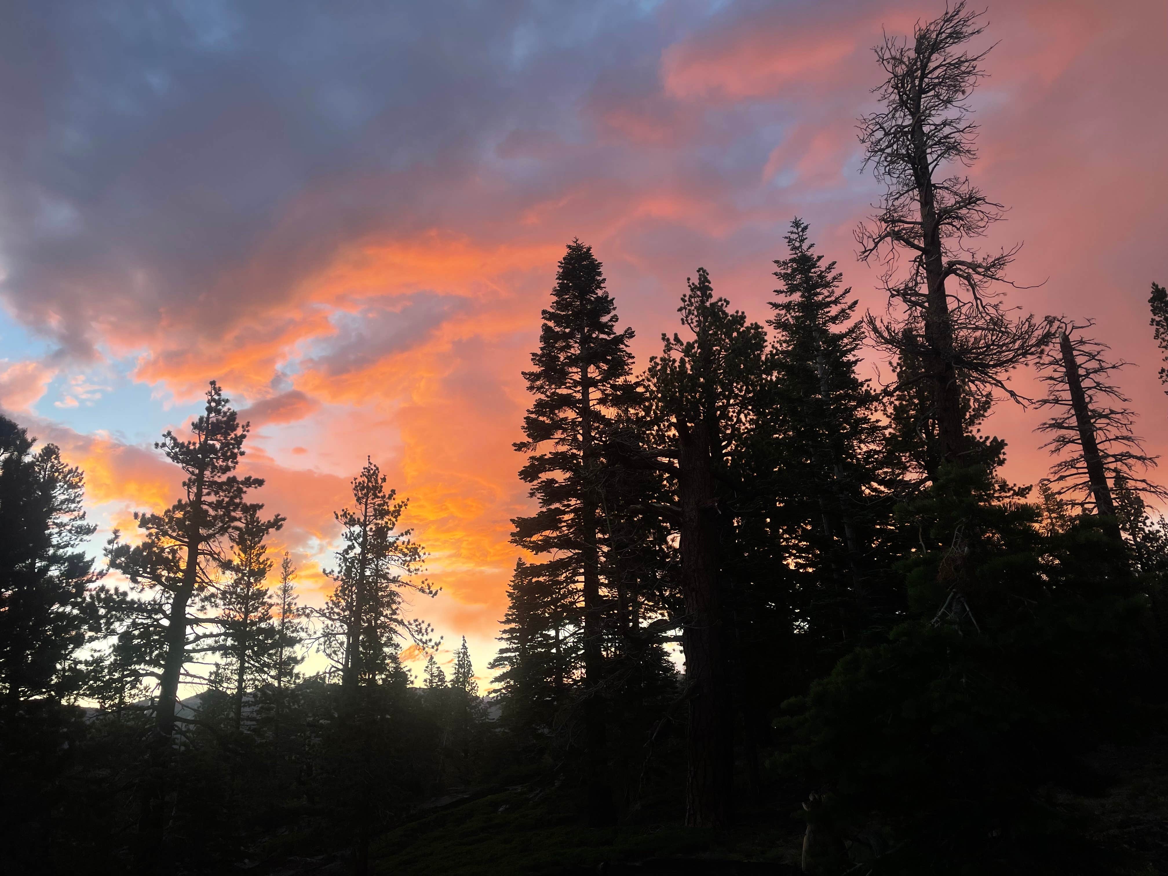 Camper-submitted photo at Scenic Loop Dispersed Camping - Eastside near Inyo National Forest