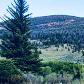 Review photo of Whiskey Basin WMA - Trail Meadow by GoWhereYouAreDraw N., August 27, 2023