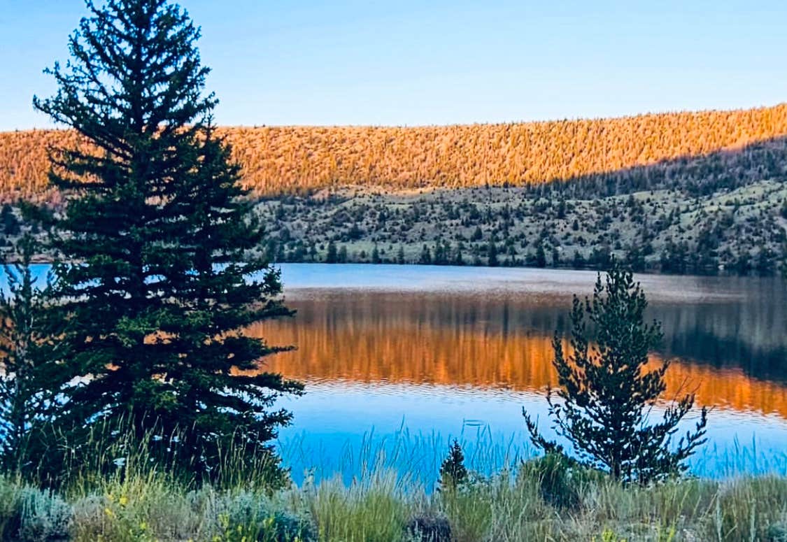 Camper submitted image from Whiskey Basin WMA - Trail Meadow - 3