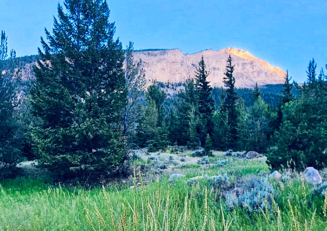 Camper submitted image from Whiskey Basin WMA - Trail Meadow - 1